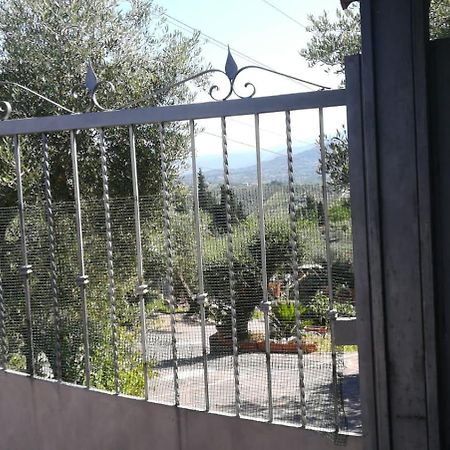 Vila La Casa Tra Gli Ulivi Di Fonte Nuova 2 Mentana Exteriér fotografie
