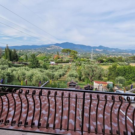 Vila La Casa Tra Gli Ulivi Di Fonte Nuova 2 Mentana Exteriér fotografie