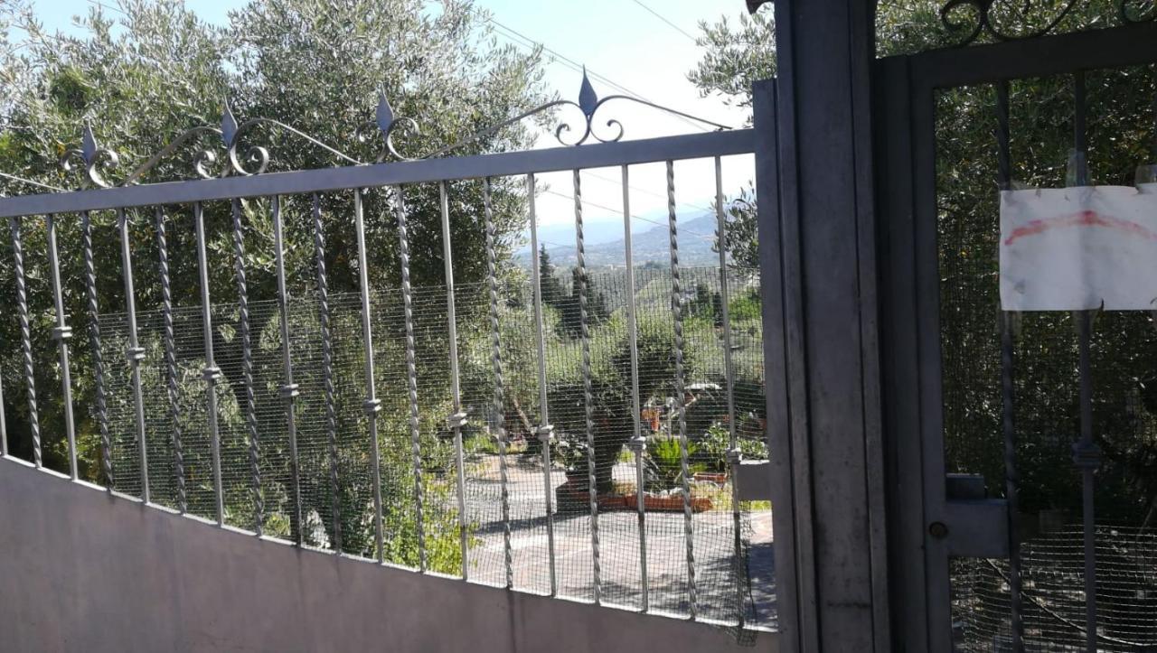 Vila La Casa Tra Gli Ulivi Di Fonte Nuova 2 Mentana Exteriér fotografie
