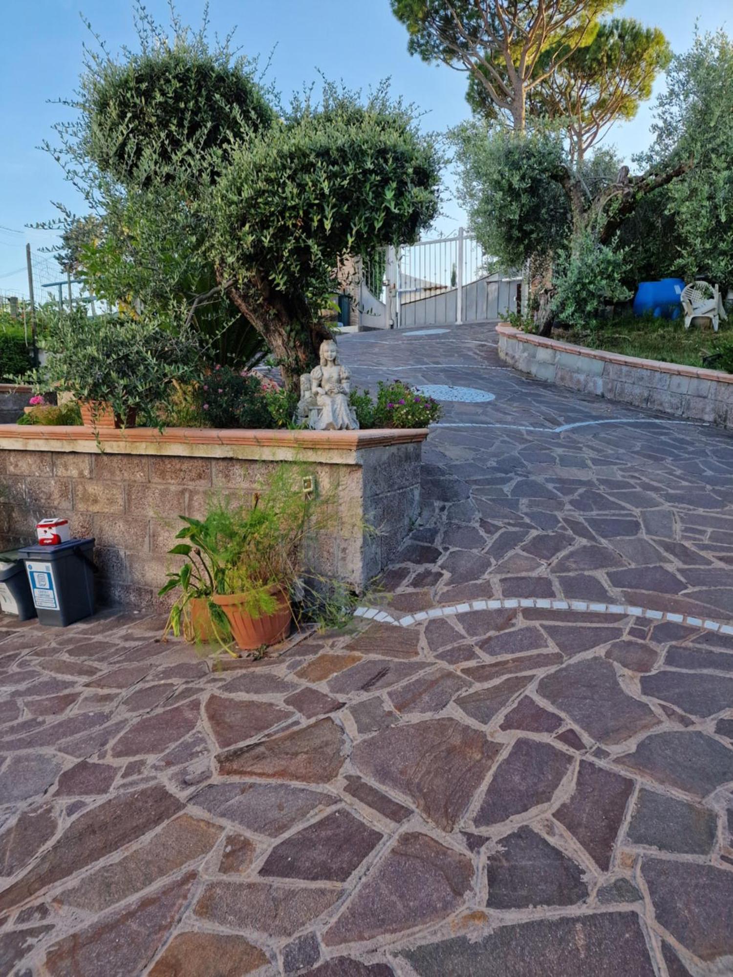 Vila La Casa Tra Gli Ulivi Di Fonte Nuova 2 Mentana Exteriér fotografie